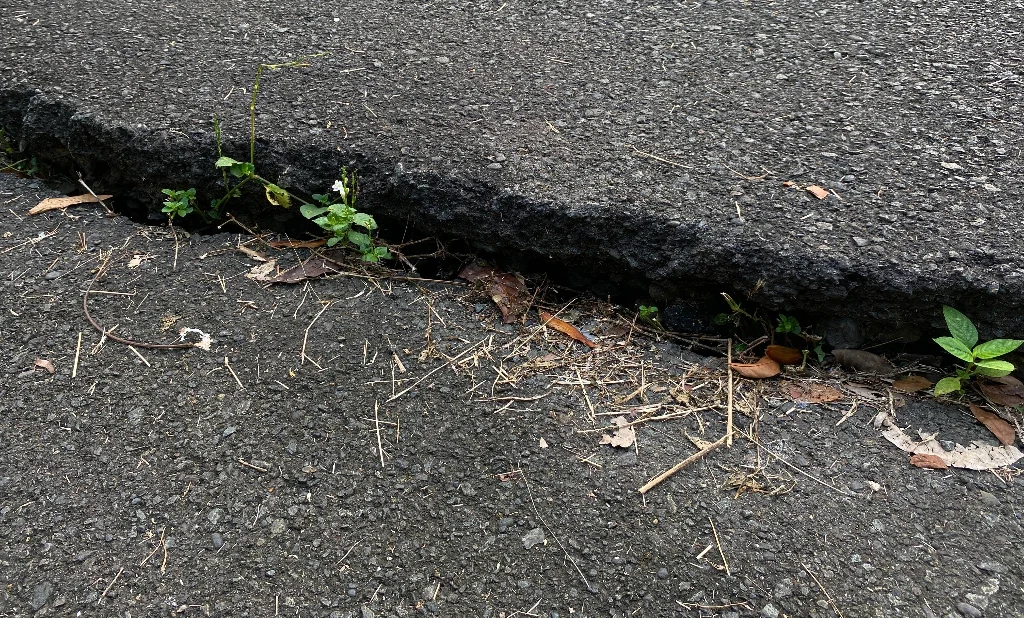 concrete lifting - black jack grout pumps